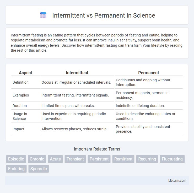 Permanent vs Intermittent in Science - What is The Difference?