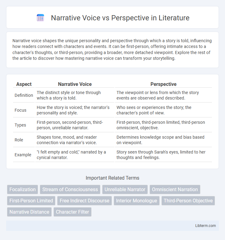 Perspective vs Narrative Voice in Literature - What is The Difference?