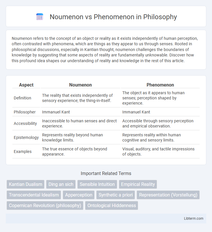 Phenomenon vs Noumenon in Philosophy - What is The Difference?