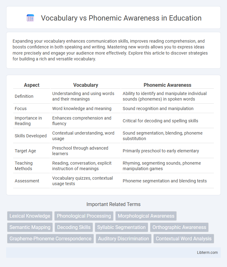 Phonemic Awareness vs Vocabulary in Education - What is The Difference?