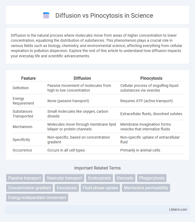 Pinocytosis vs Diffusion in Science - What is The Difference?
