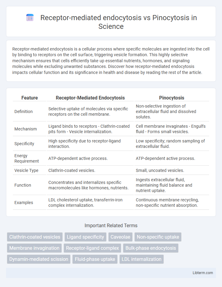Pinocytosis vs Receptor-mediated endocytosis in Science - What is The Difference?