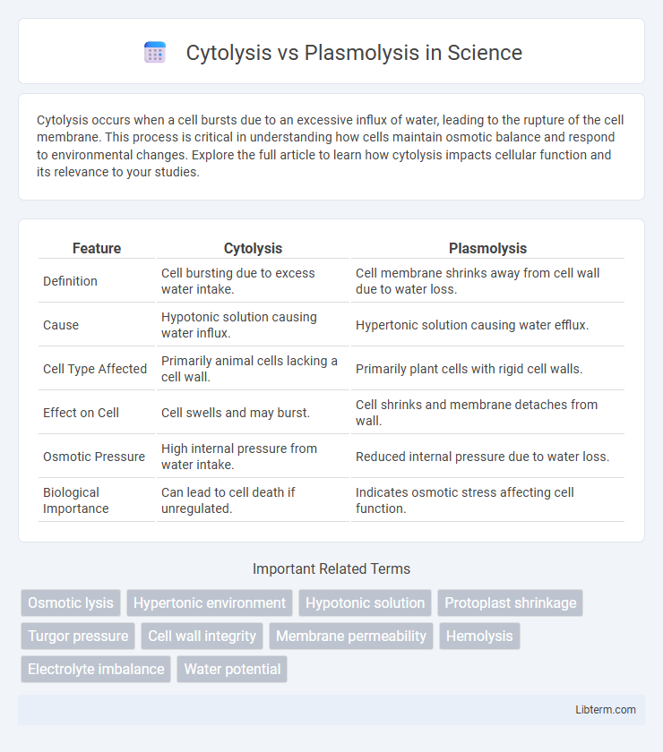Plasmolysis vs Cytolysis in Science - What is The Difference?