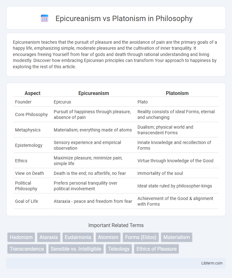 Platonism vs Epicureanism in Philosophy - What is The Difference?