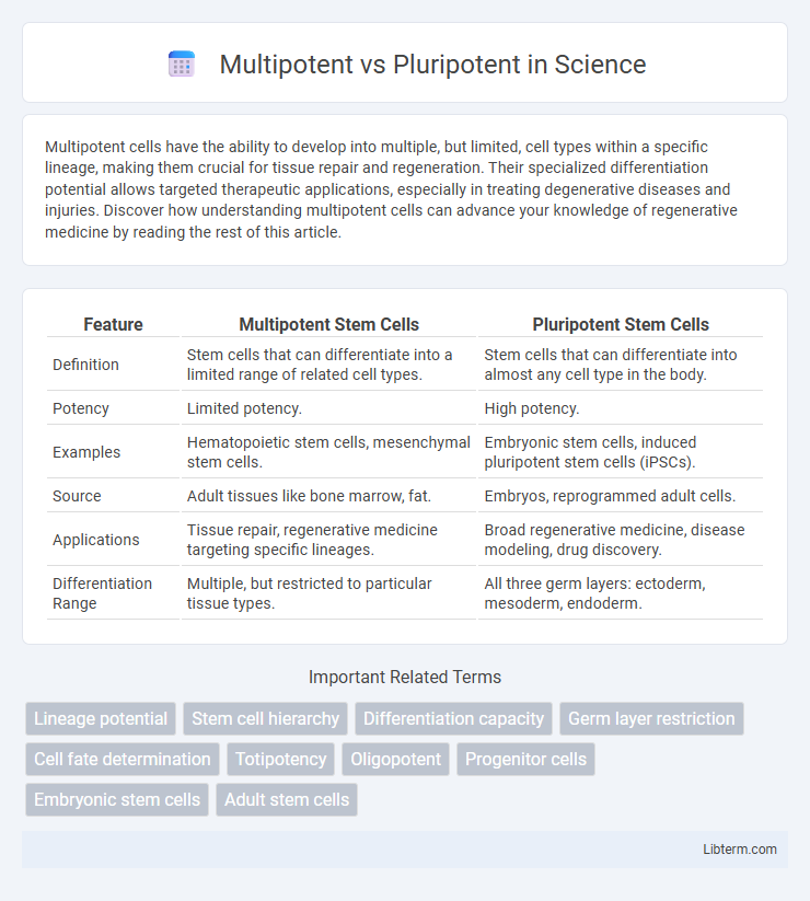 Pluripotent vs Multipotent in Science - What is The Difference?