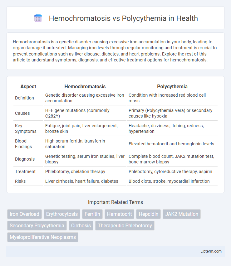 Polycythemia vs Hemochromatosis in Health - What is The Difference?