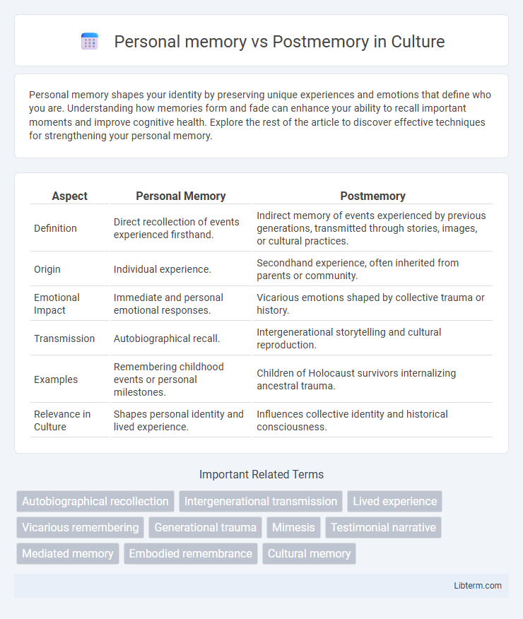 Postmemory vs Personal memory in Culture - What is The Difference?