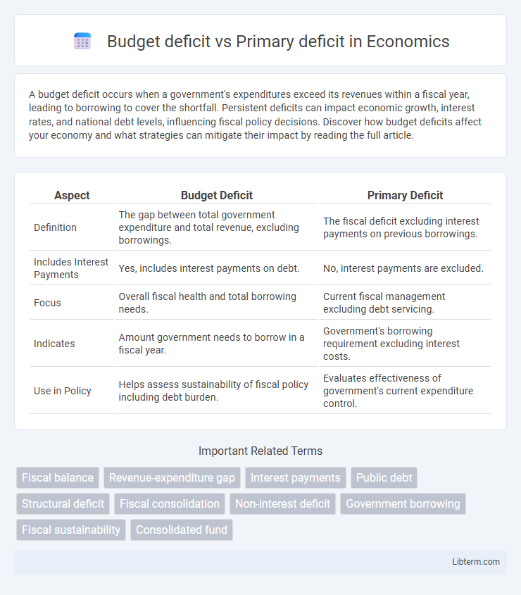 Primary deficit vs Budget deficit in Economics - What is The Difference?