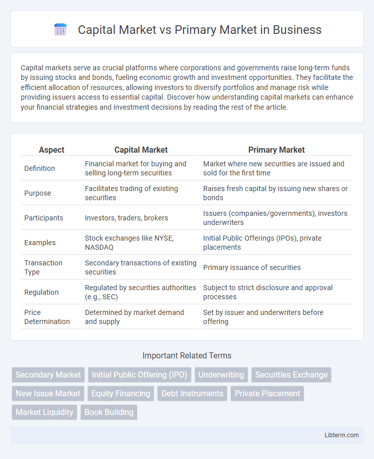 Primary Market vs Capital Market in Business - What is The Difference?