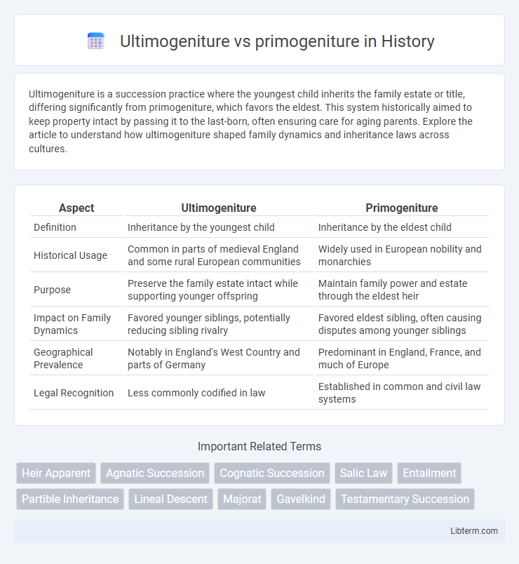 primogeniture vs Ultimogeniture in History - What is The Difference?