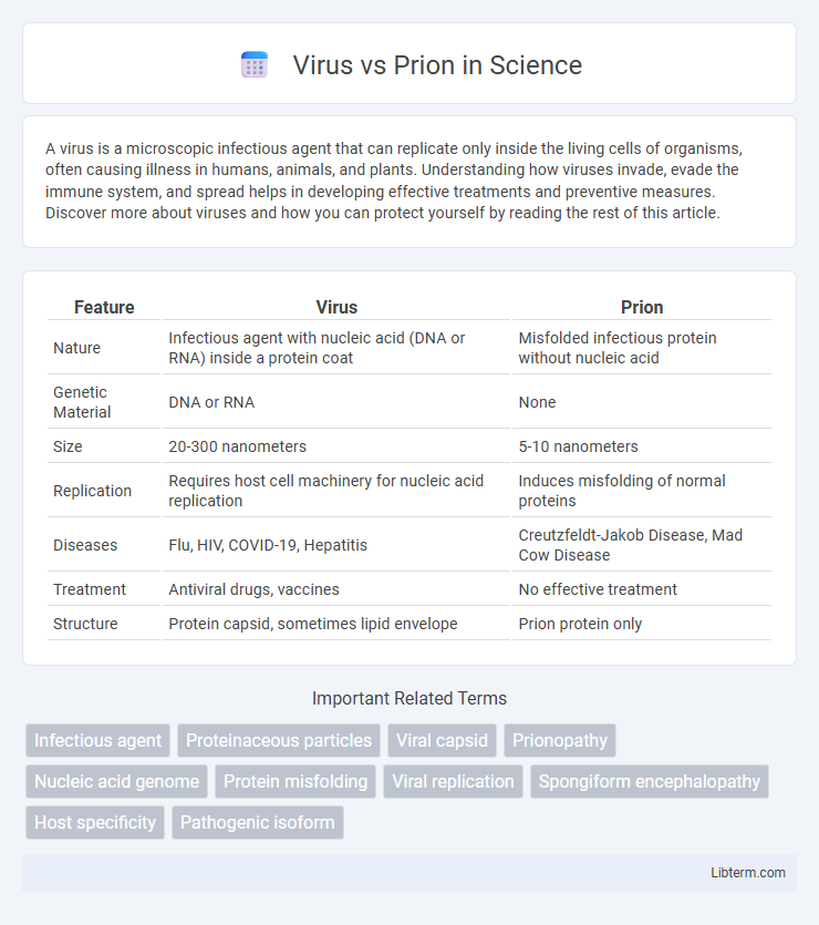 Prion vs Virus in Science - What is The Difference?