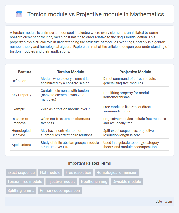 Projective module vs Torsion module in Mathematics - What is The Difference?