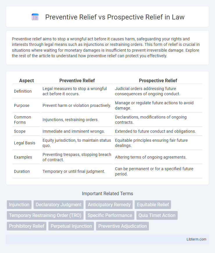 Prospective Relief vs Preventive Relief in Law - What is The Difference?