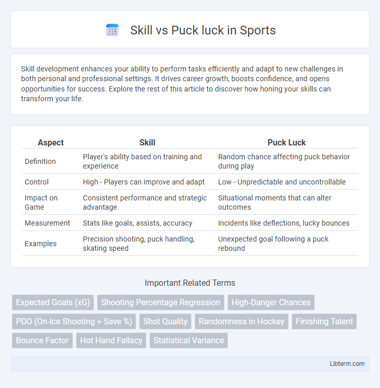 Puck luck vs Skill in Sports - What is The Difference?