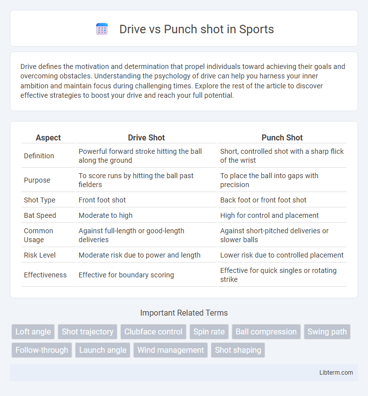 Punch shot vs Drive in Sports - What is The Difference?
