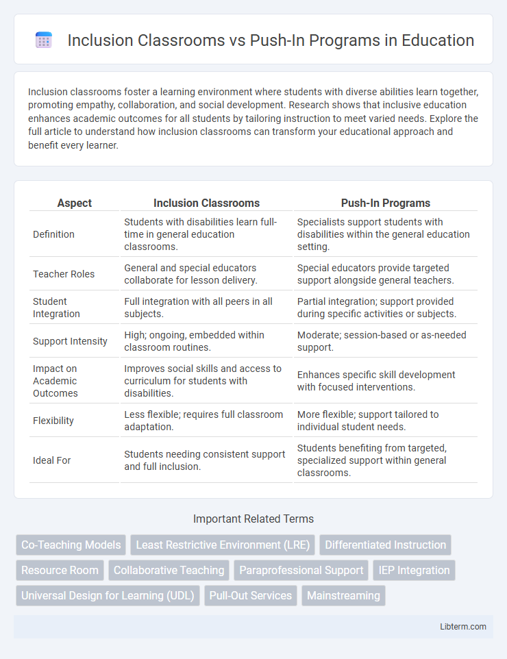 Push-In Programs vs Inclusion Classrooms in Education - What is The Difference?