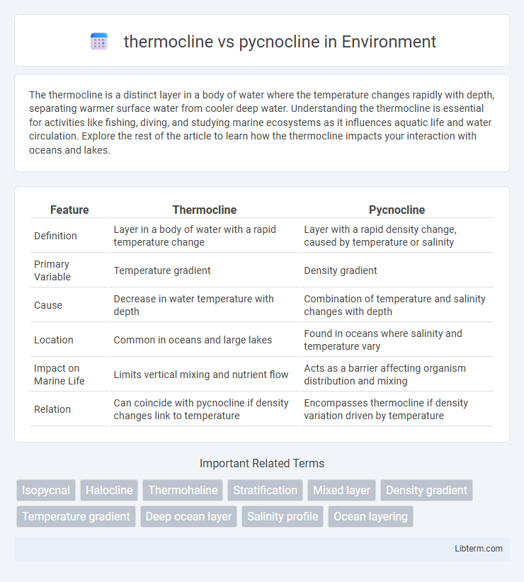 pycnocline vs thermocline in Environment - What is The Difference?