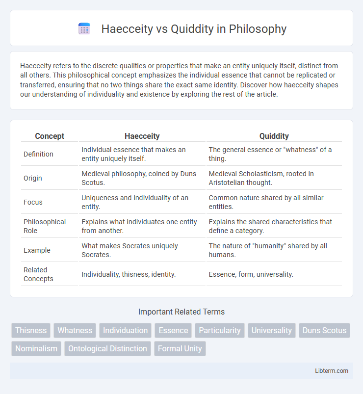 Quiddity vs Haecceity in Philosophy - What is The Difference?