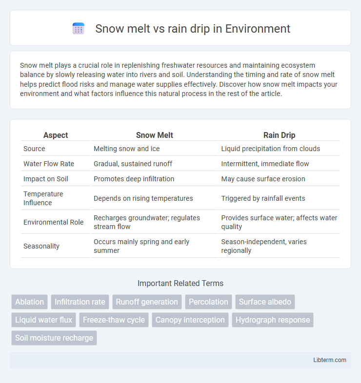 rain drip vs Snow melt in Environment - What is The Difference?