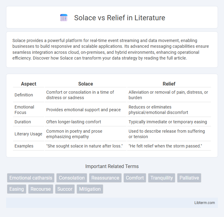 Relief vs Solace in Literature - What is The Difference?