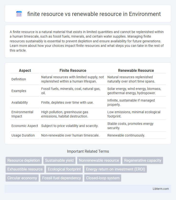 renewable resource vs finite resource in Environment - What is The Difference?