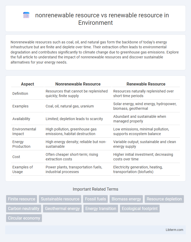 renewable resource vs nonrenewable resource in Environment - What is The Difference?