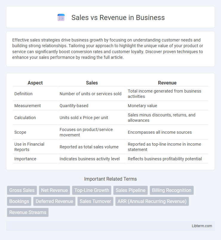 Revenue vs Sales in Business - What is The Difference?