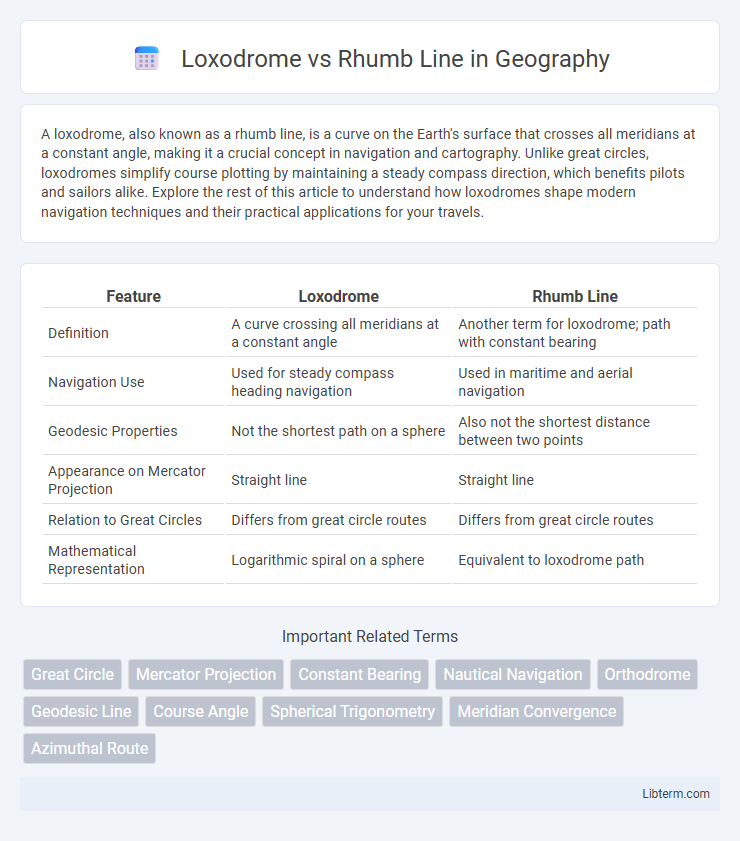 Rhumb Line vs Loxodrome in Geography - What is The Difference?