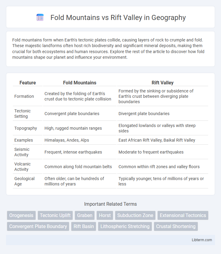 Rift Valley vs Fold Mountains in Geography - What is The Difference?