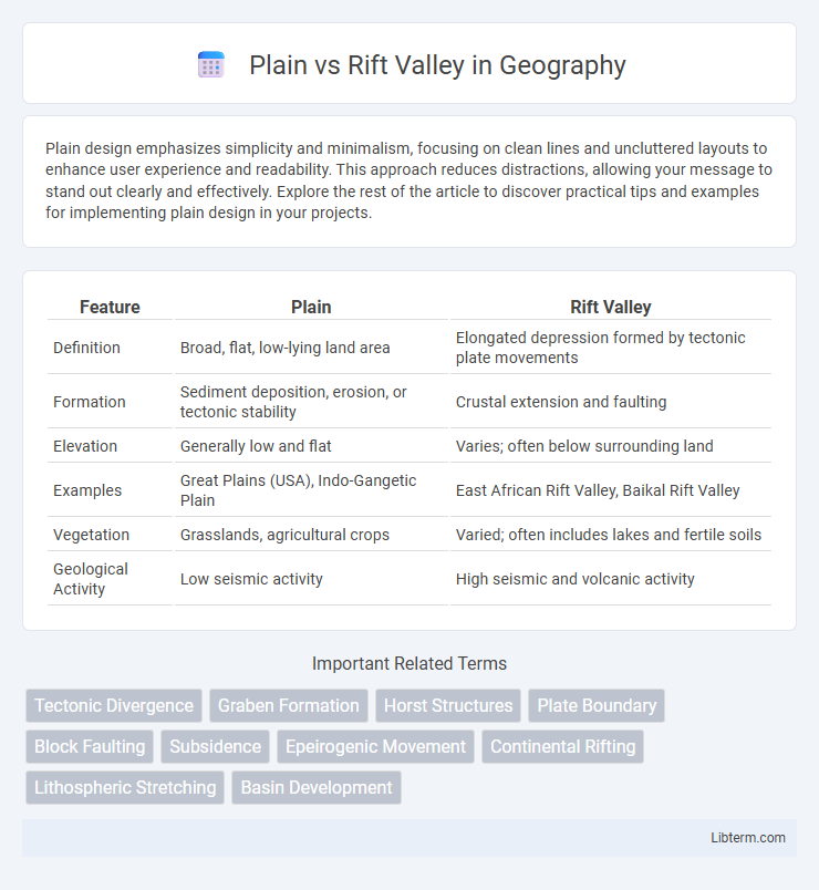 Rift Valley vs Plain in Geography - What is The Difference?