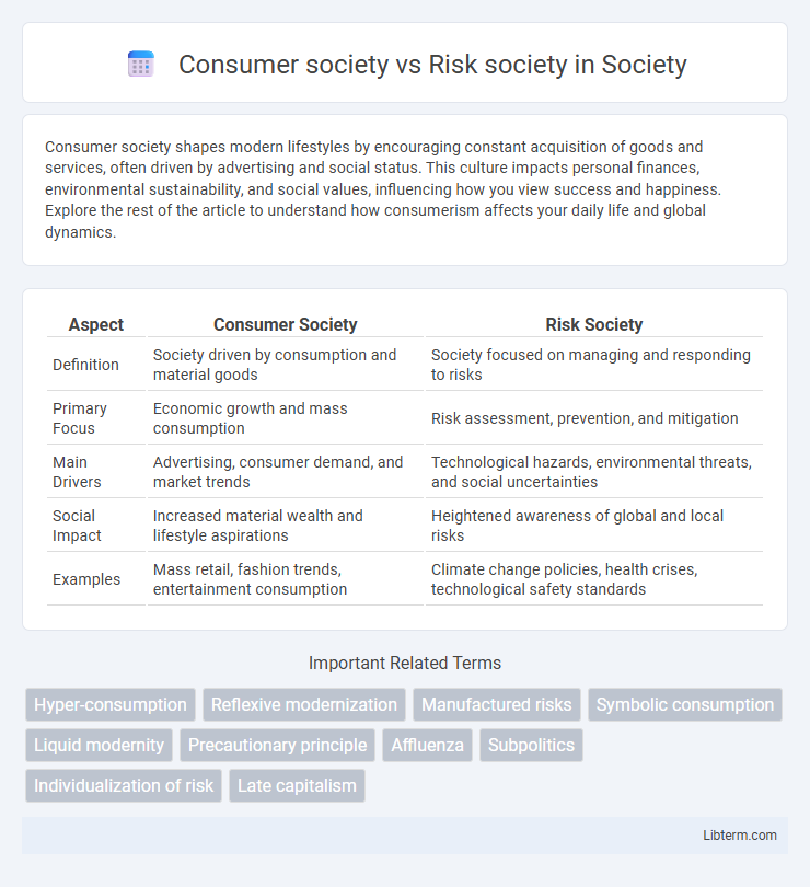 Risk society vs Consumer society in Society - What is The Difference?