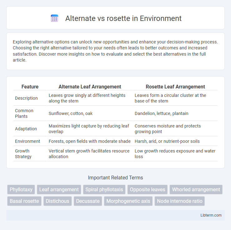 rosette vs Alternate in Environment - What is The Difference?