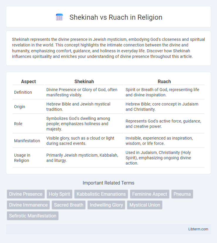 Ruach vs Shekinah in Religion - What is The Difference?