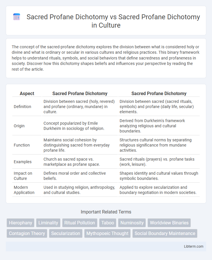 Sacred Profane Dichotomy vs Sacred Profane Dichotomy in Culture - What is The Difference?