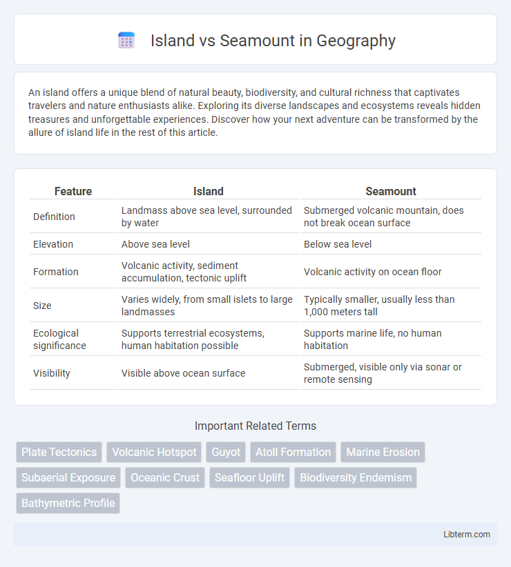 Seamount vs Island in Geography - What is The Difference?