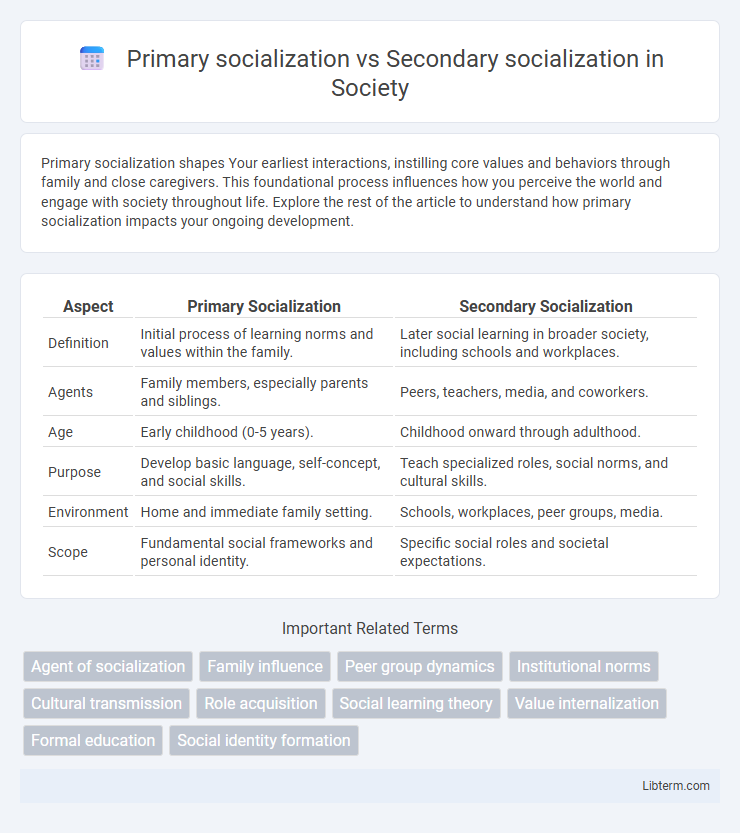 Secondary socialization vs Primary socialization in Society - What is The Difference?