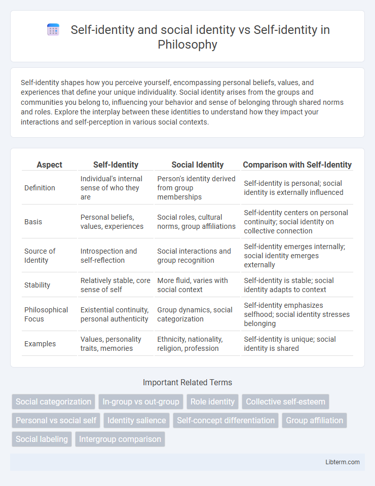 Self-identity vs Self-identity and social identity in Philosophy - What is The Difference?