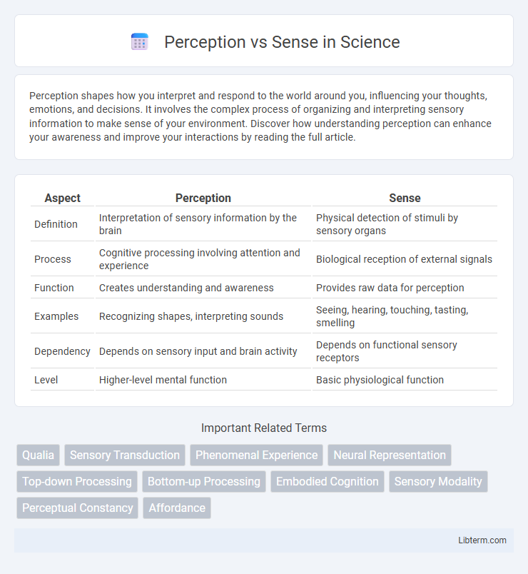 Sense vs Perception in Science - What is The Difference?