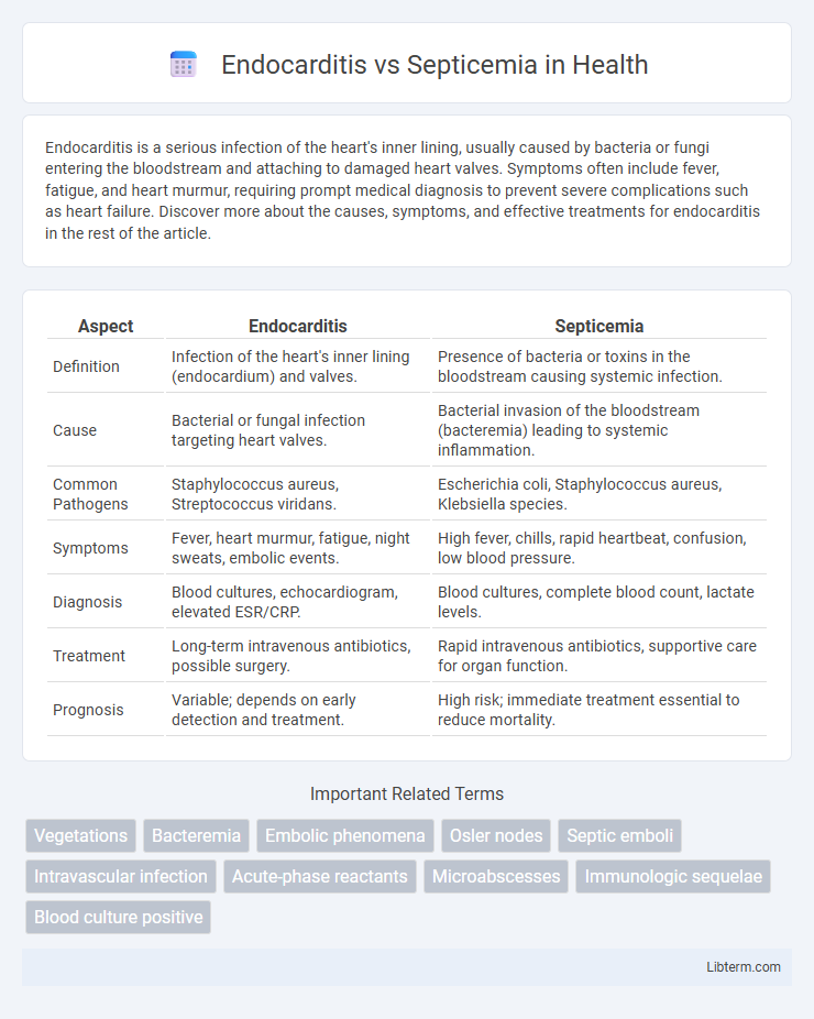 Septicemia vs Endocarditis in Health - What is The Difference?
