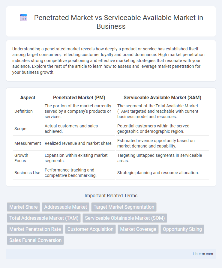 Serviceable Available Market vs Penetrated Market in Business - What is The Difference?