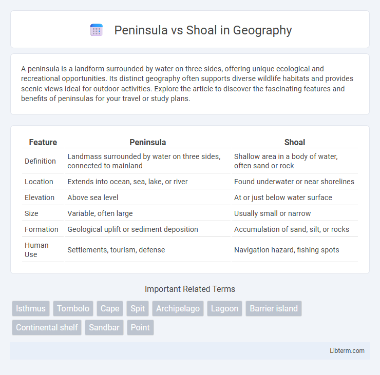 Shoal vs Peninsula in Geography - What is The Difference?