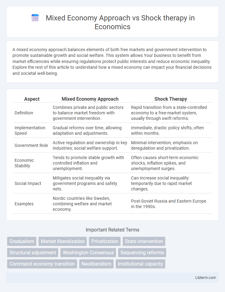 Shock therapy vs Mixed Economy Approach in Economics - What is The Difference?
