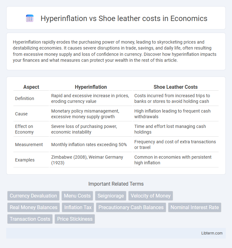 Shoe leather costs vs Hyperinflation in Economics - What is The Difference?