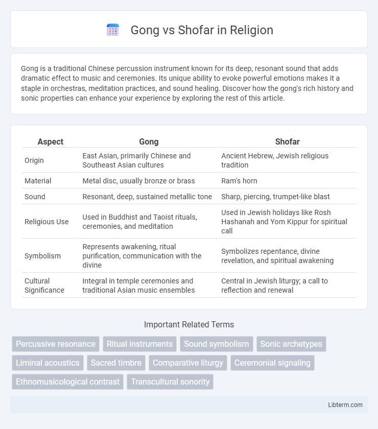 Shofar vs Gong in Religion - What is The Difference?