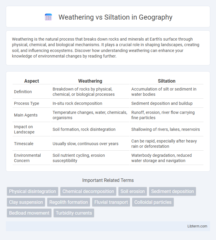 Siltation vs Weathering in Geography - What is The Difference?