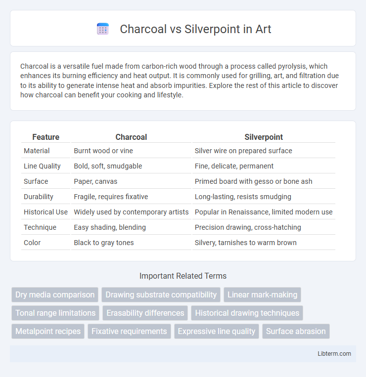 Silverpoint vs Charcoal in Art - What is The Difference?