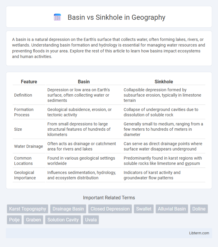 Sinkhole vs Basin in Geography - What is The Difference?