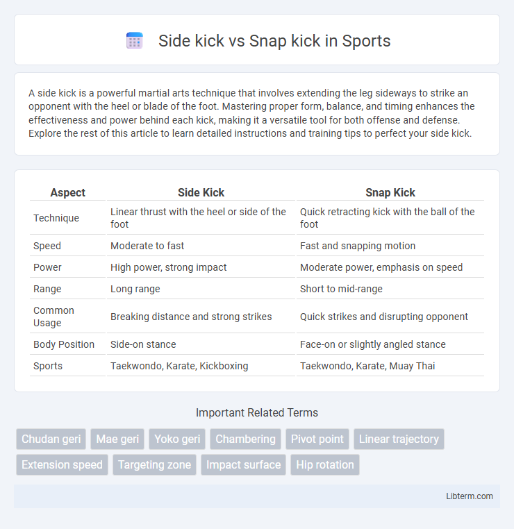 Snap kick vs Side kick in Sports - What is The Difference?
