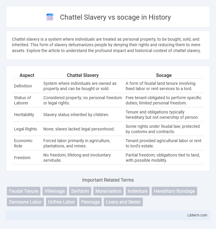 socage vs Chattel Slavery in History - What is The Difference?