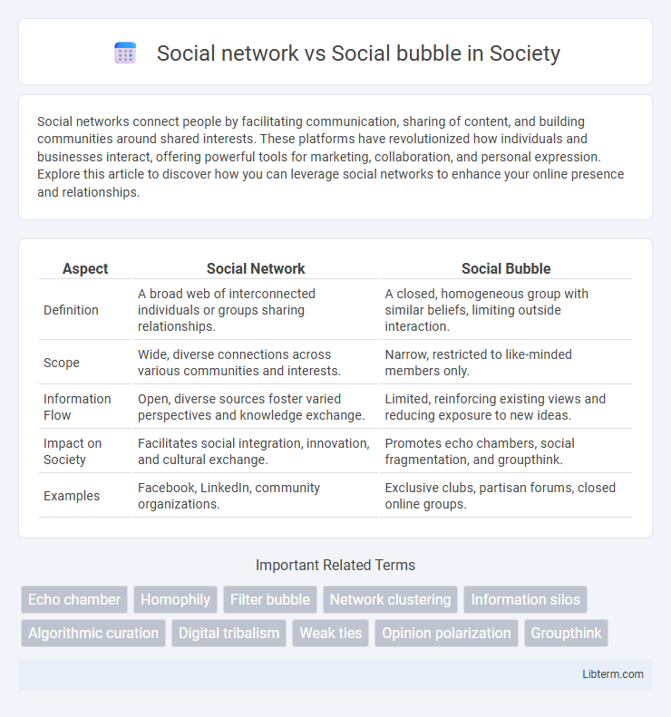 Social bubble vs Social network in Society - What is The Difference?